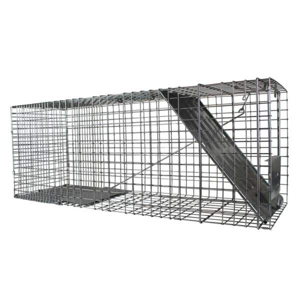 Animal Cage Trap Large 1-Door Professional for Raccoon, Opossum