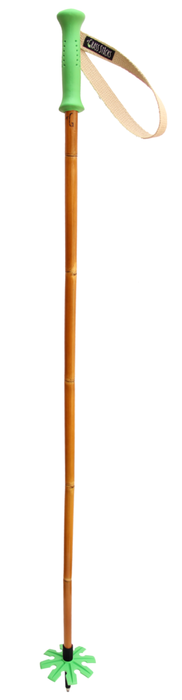 Grass Sticks Ski Poles