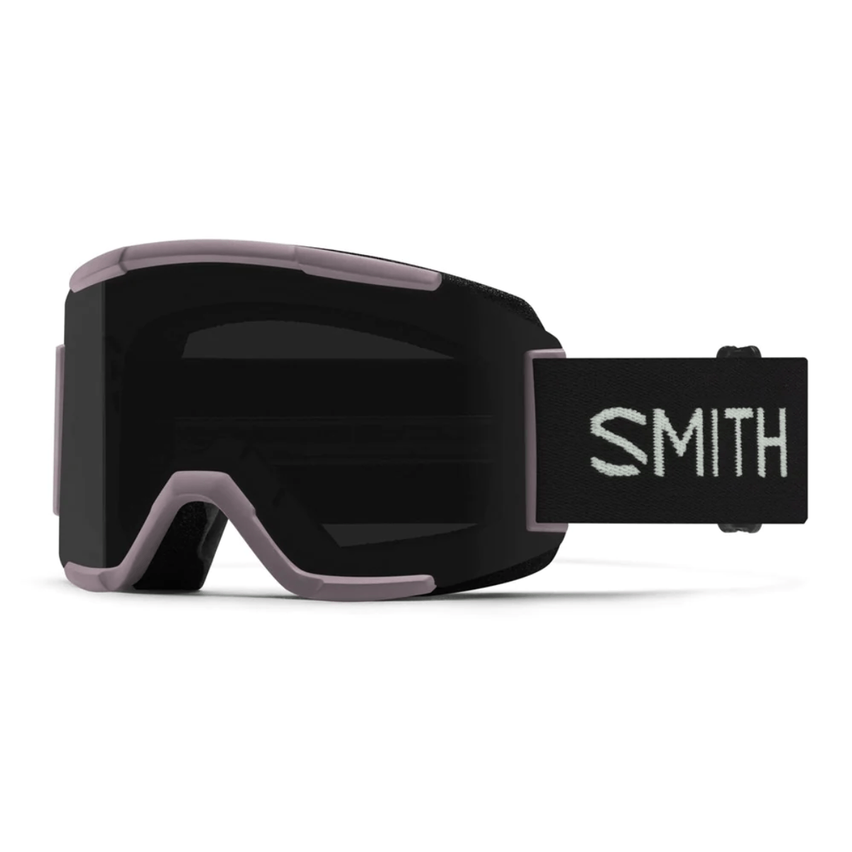 Smith Squad Goggles - Skiing