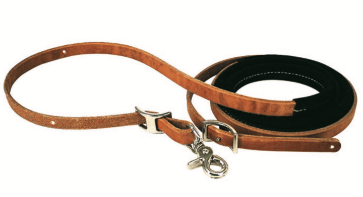 Sharon Camarillo "Fast Break" Competition Rein