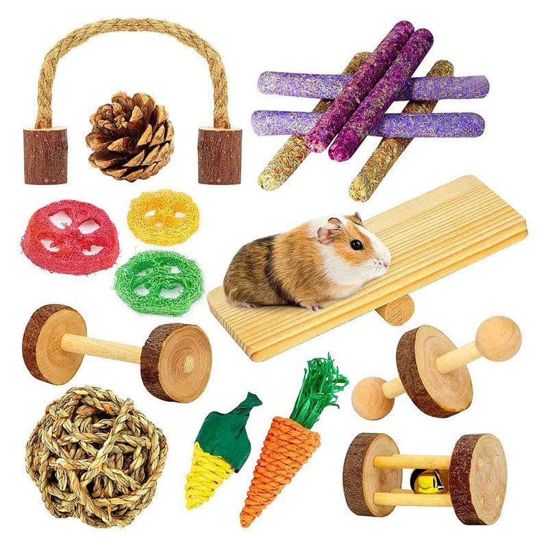 Toys, Guinea Pig Toys, 18 Pcs Wooden Toy Set Natural Wood Small Animal Chew Molar Toys for Teeth